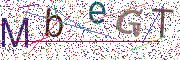 图形验证