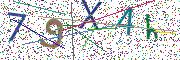 图形验证